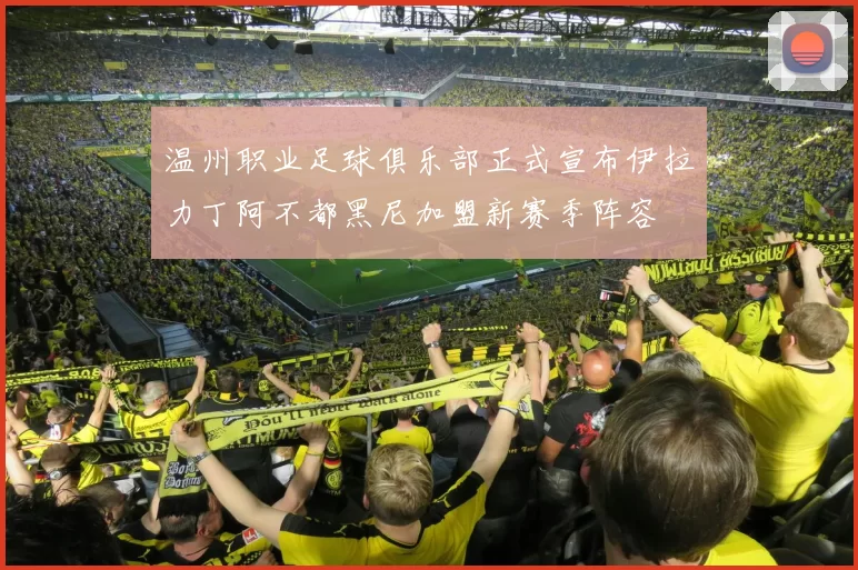 温州职业足球俱乐部正式宣布伊拉力丁阿不都黑尼加盟新赛季阵容