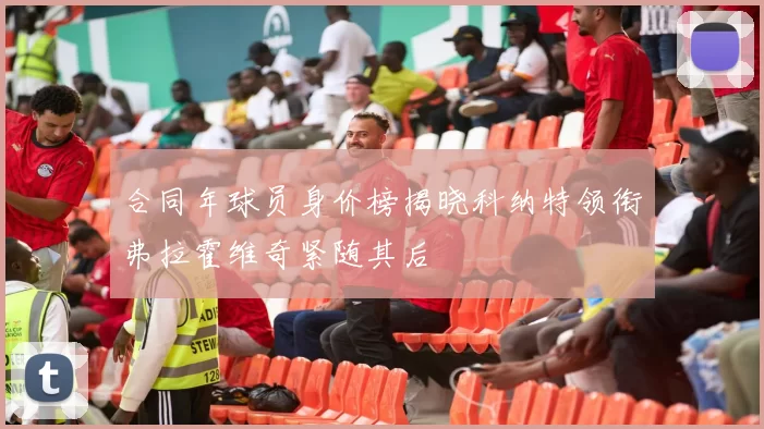 合同年球员身价榜揭晓科纳特领衔弗拉霍维奇紧随其后